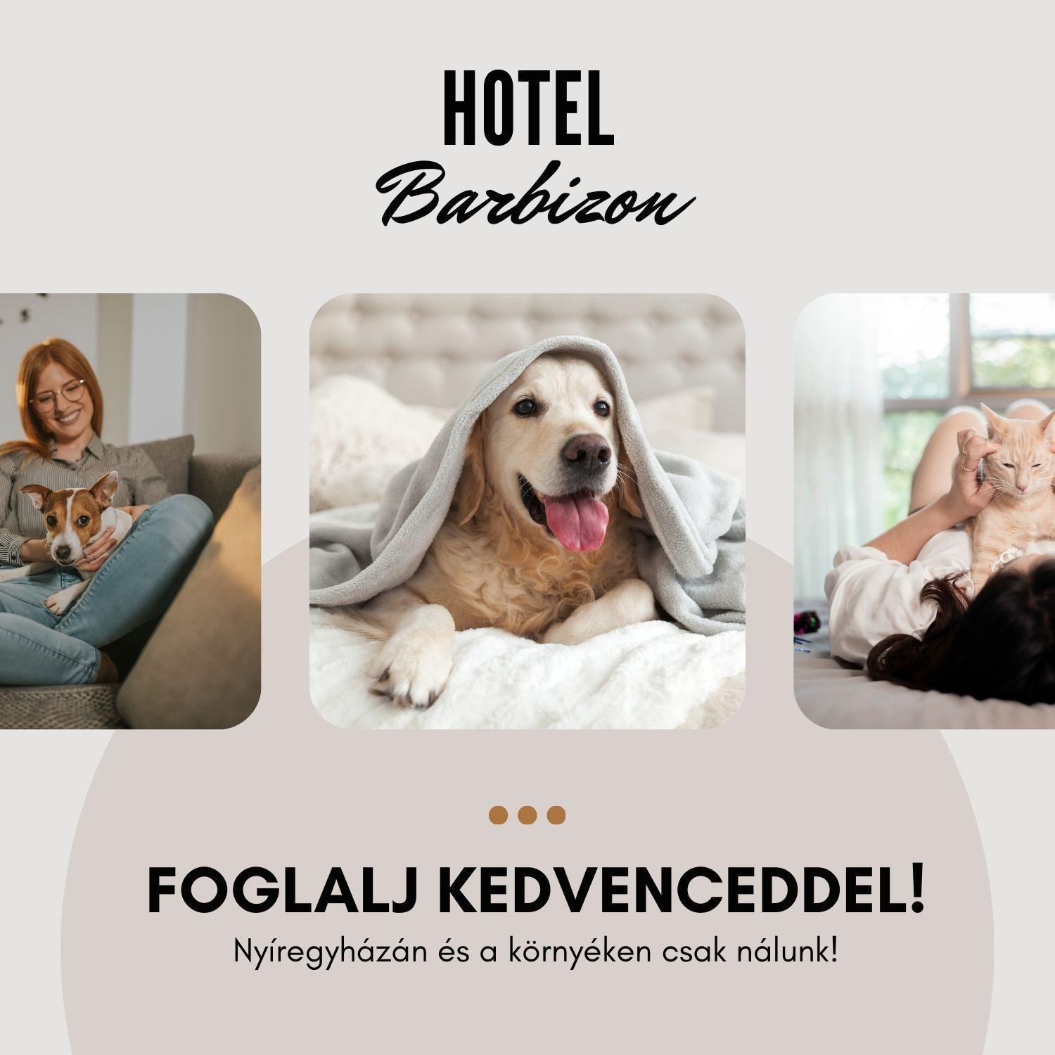 Hotel Barbizon Nyíregyháza Dış mekan fotoğraf