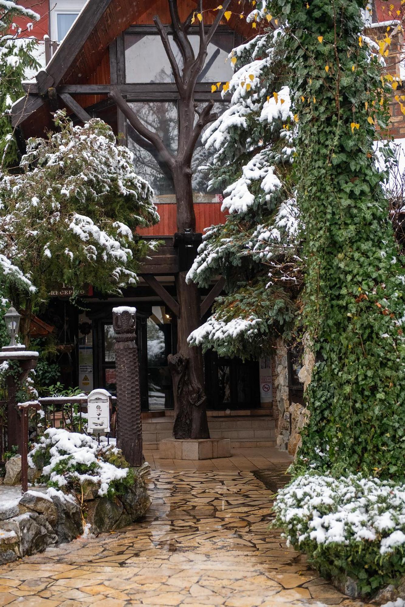 Hotel Barbizon Nyíregyháza Dış mekan fotoğraf